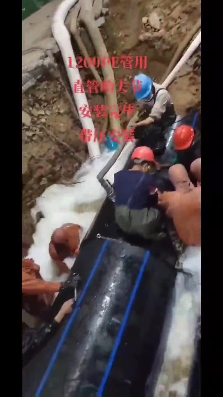 a0ea54dbb72a75699601771b637a737